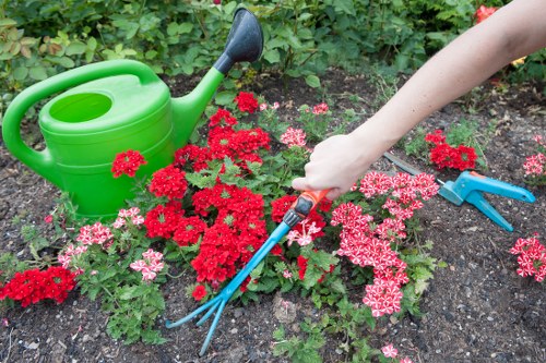 Gardener mowing a small Croydon front lawn