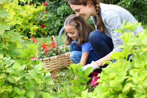 Eco-friendly lawn mowing equipment in Croydon